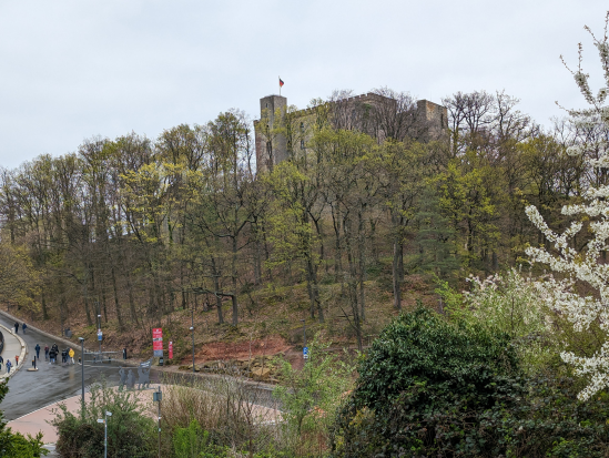 Hohe Loog, Neustadt
16. April 2023